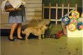 11_slideshow.jpg