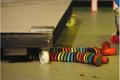 15_slideshow.jpg