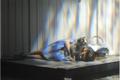 9_slideshow.jpg